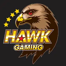 hawk gaming